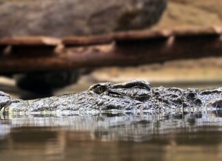 Jakie są podstawowe zasady rachunkowości? Jakie są podstawowe zasady rachunkowości?