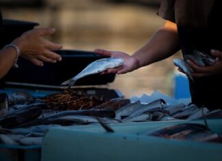 Jak legalnie sprzedawać własne rzeczy? Jak legalnie sprzedawać własne rzeczy?