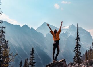 Co składa się na program nauczania?