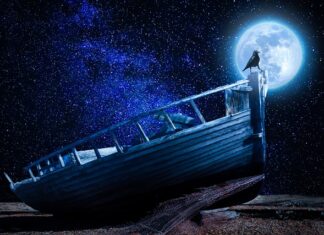 Kto tworzy podstawy programowe?