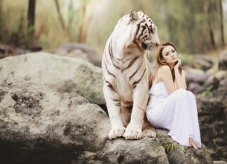 Co to jest polityka ochrony danych osobowych? Co to jest polityka ochrony danych osobowych?