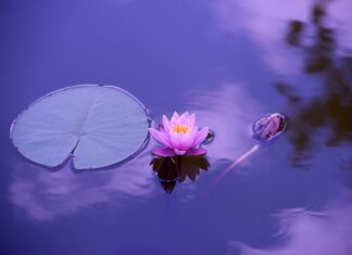 Ile wynosi stawka za 1 dzień urlopu przy najniższej krajowej? Ile wynosi stawka za 1 dzień urlopu przy najniższej krajowej?