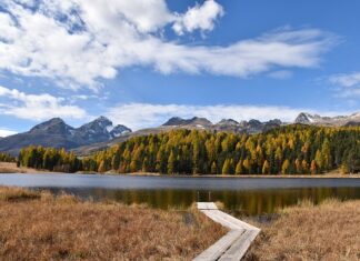 Czy warto iść na staż z urzędu pracy?