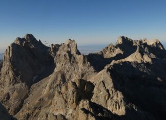 Czy skarbnik to główny księgowy? Czy skarbnik to główny księgowy?