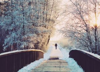 Czy dni wolne na poszukiwanie pracy są płatne? Czy dni wolne na poszukiwanie pracy są płatne?