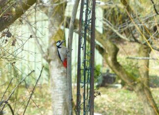 Jakie są trzy dziedziny bezpieczeństwa państwa? Jakie są trzy dziedziny bezpieczeństwa państwa?