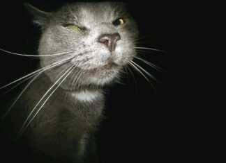 Jak odrzucić kandydata do pracy Przykład? Jak odrzucić kandydata do pracy Przykład?